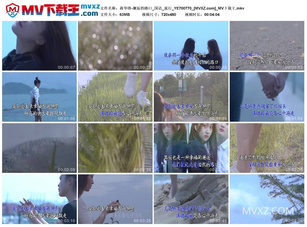 蒋华锋-邂逅的路口_国语_流行_YE700770